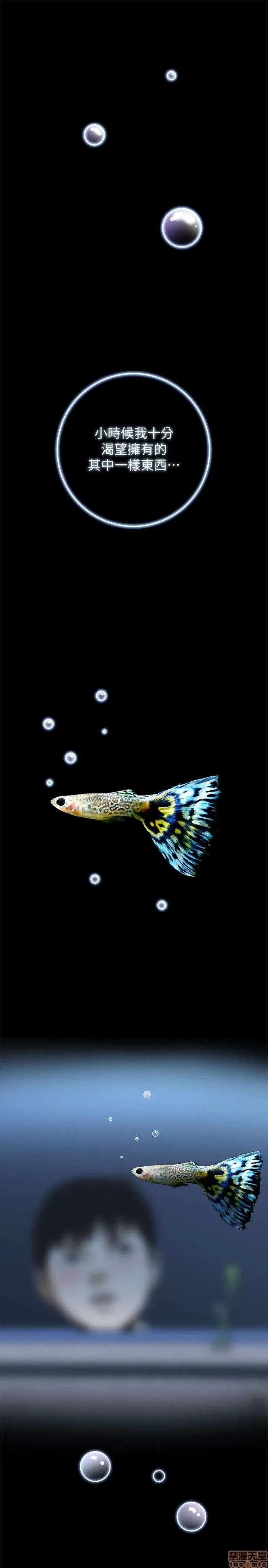 偷窥/窥视者/偷窥者/Take a Peek 偷窥/窥视者/偷窥者/Take a Peek 2/158