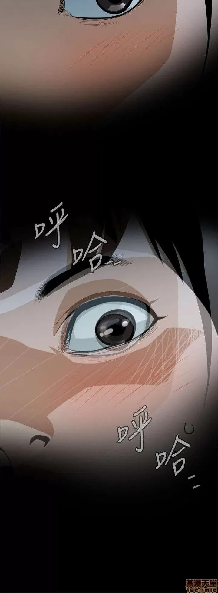 偷窥/窥视者/偷窥者/Take a Peek 偷窥/窥视者/偷窥者/Take a Peek 5/158