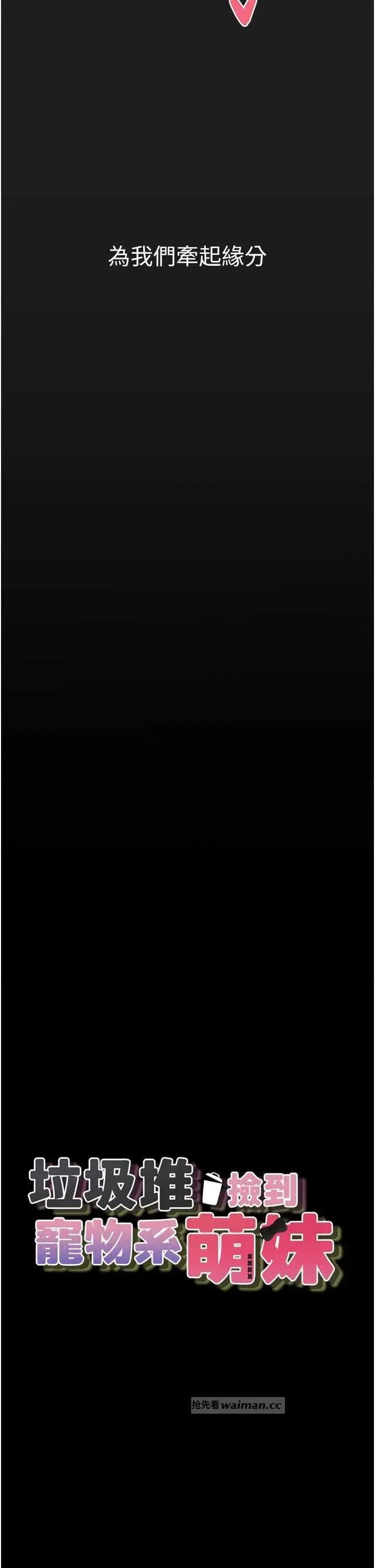 垃圾堆捡到宠物系萌妹  12/68