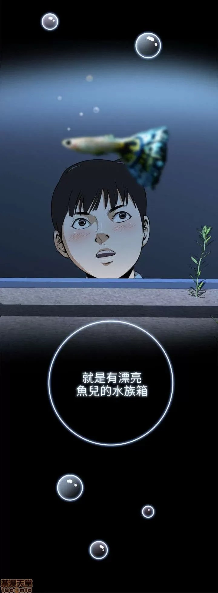 偷窥/窥视者/偷窥者/Take a Peek 偷窥/窥视者/偷窥者/Take a Peek 3/158