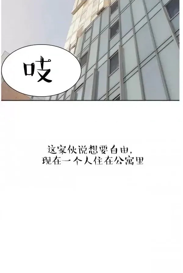 完美的饲养  21/42