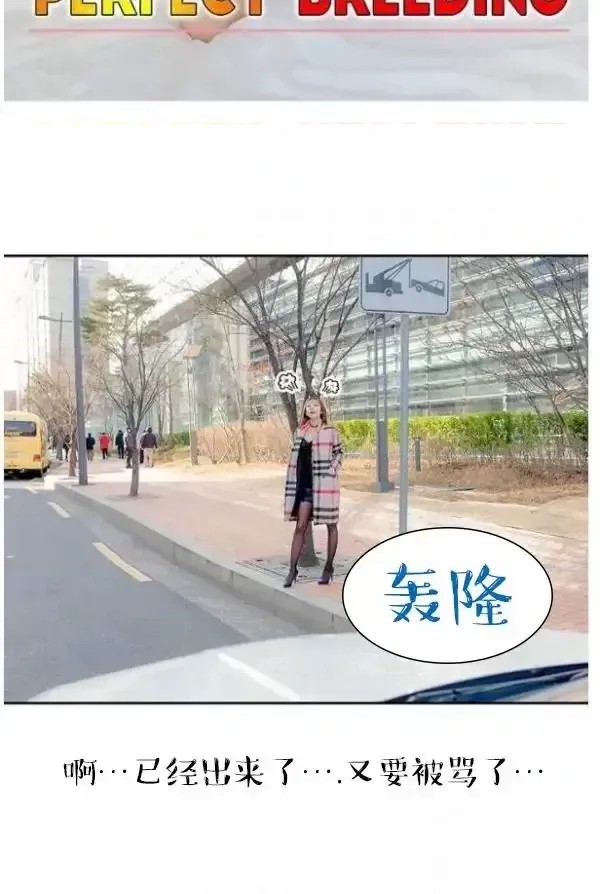 完美的饲养  2/42