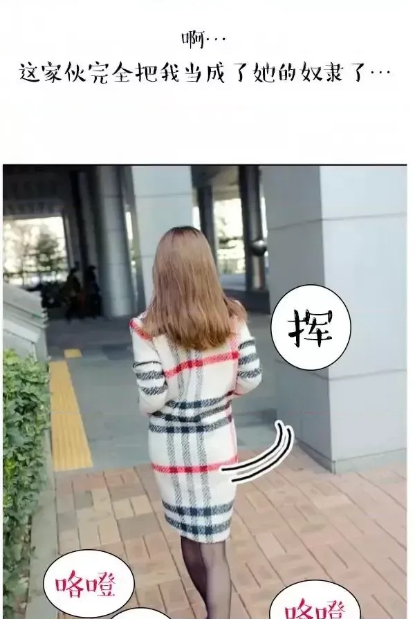 完美的饲养  27/42
