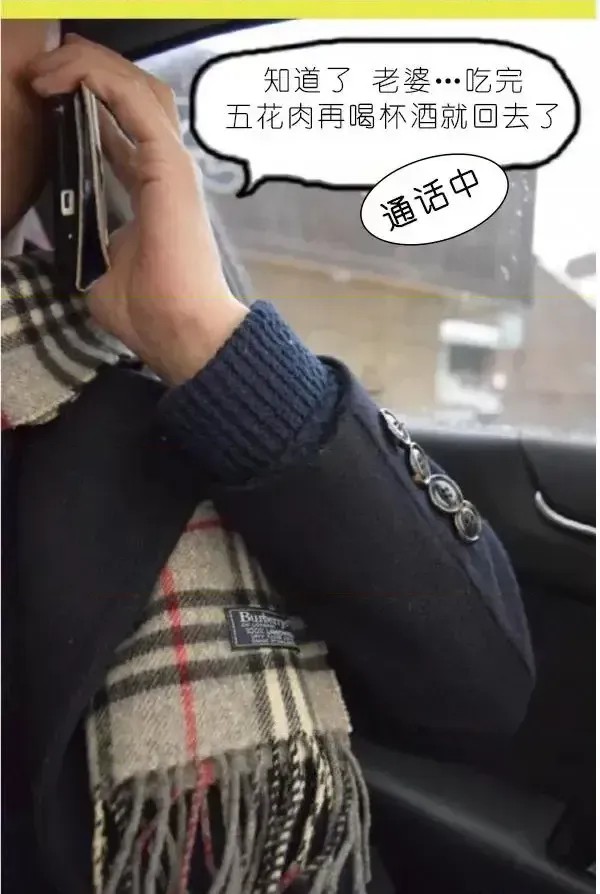 狐狸般的女人  20/40