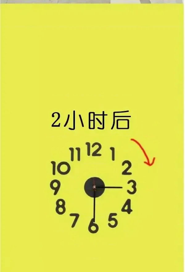狐狸般的女人  13/40
