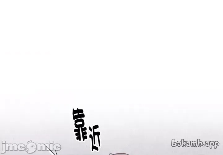 扑通扑通终极密码  1/176